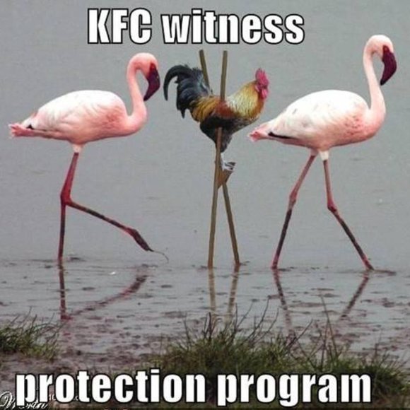 😁 Funnies to Bring a Laugh and Joy to your Day! 😁 - Picture 15 of 15